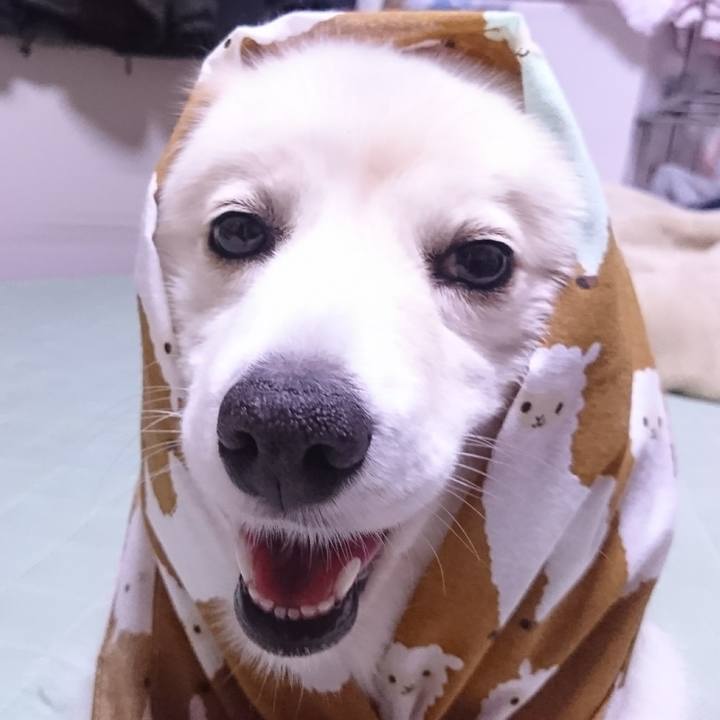 Edf65863 7ae9 4c65 a5da da58c18df697