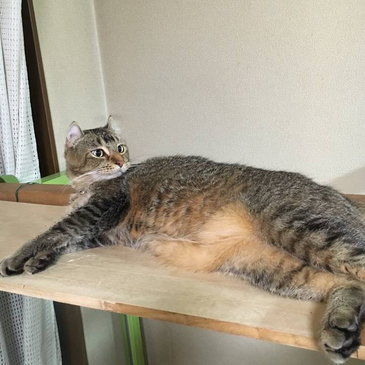 Edf68691 d966 41ec b26a cabb54b486d5