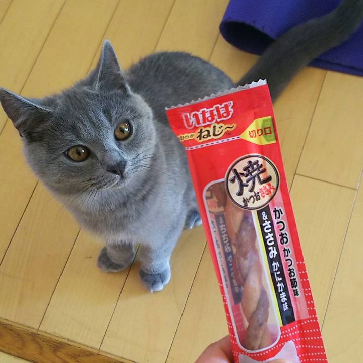 Edf6a94f 7b80 4357 9044 ad3c618d10da