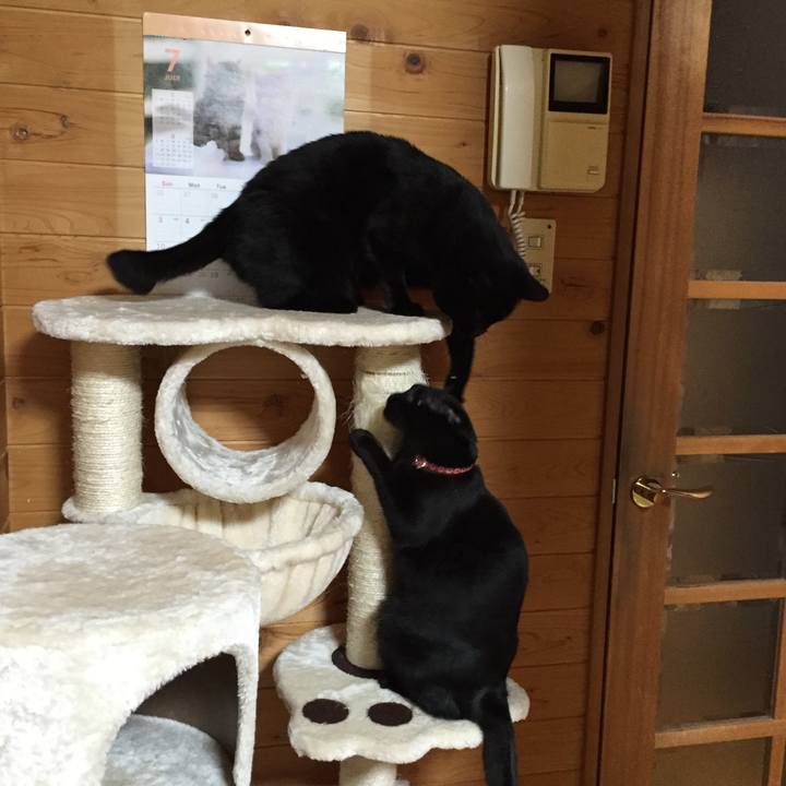 Edf720ac 7c8a 4252 828d 88d87c721856