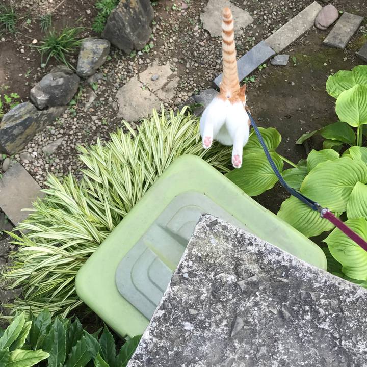 Edf78e42 1b5b 4f1f 9058 aa9ce6c81dce