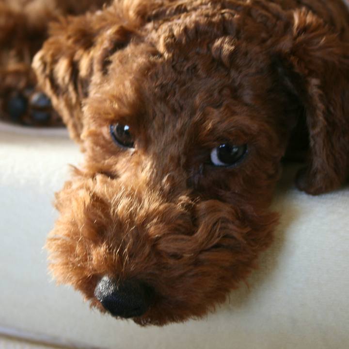 Edf7efd2 bd00 4059 ad25 ba73adce70ce