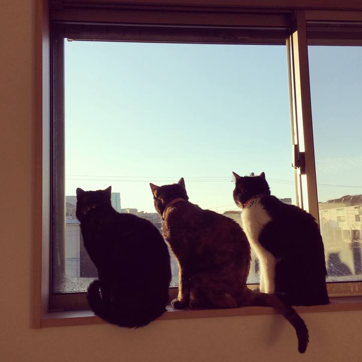 Edf809e2 0be5 4767 bb97 b56d05b421d7