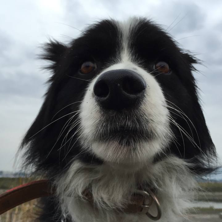 Edf8cbdf 7de1 4cc2 bbb5 fe70847ac61b