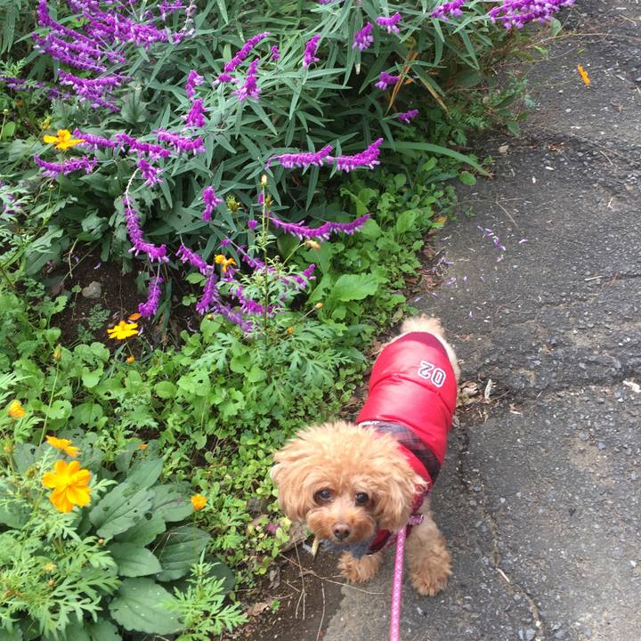 Edf91c75 332e 4a16 b1a9 4601bda52111