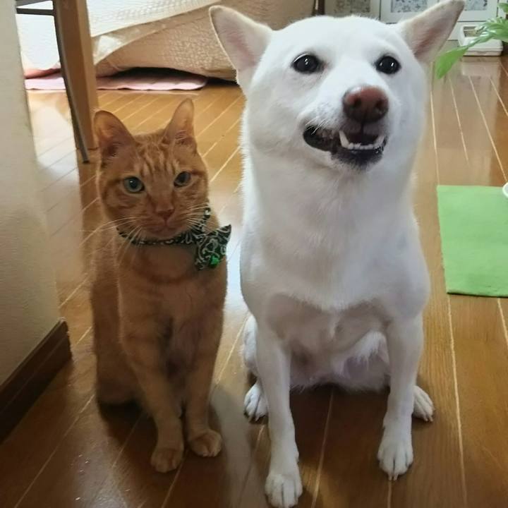 Edf93cb0 cc3d 49a6 bcb9 aa07a8f73bb4