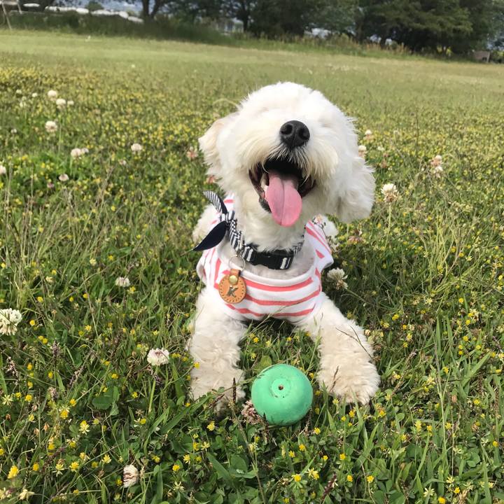 Edf96b37 6ee5 4d5d beff 768e00a9393c