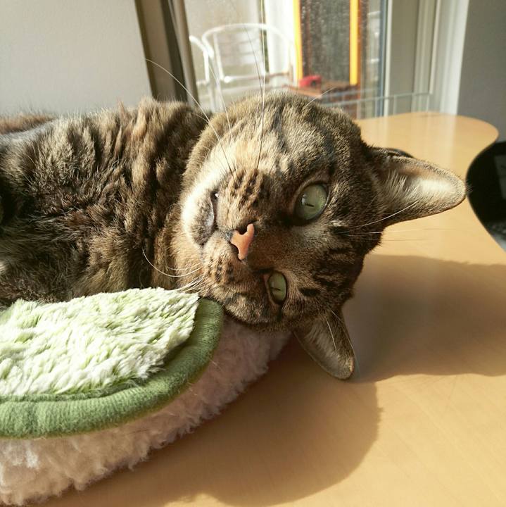 Edf9c16b 6727 43dd 9e1c 0eb9d3d617c1