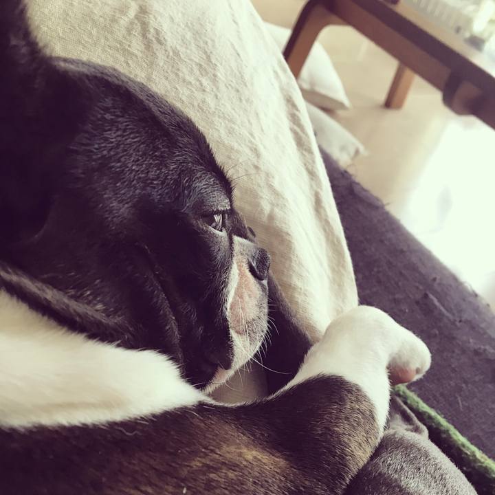 Edf9e837 526a 411d 9db6 cbae2038fb9e