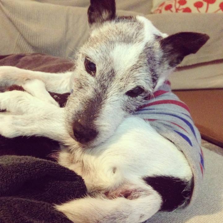 Edfa003e 5d5c 4187 9d17 c121d2eac104