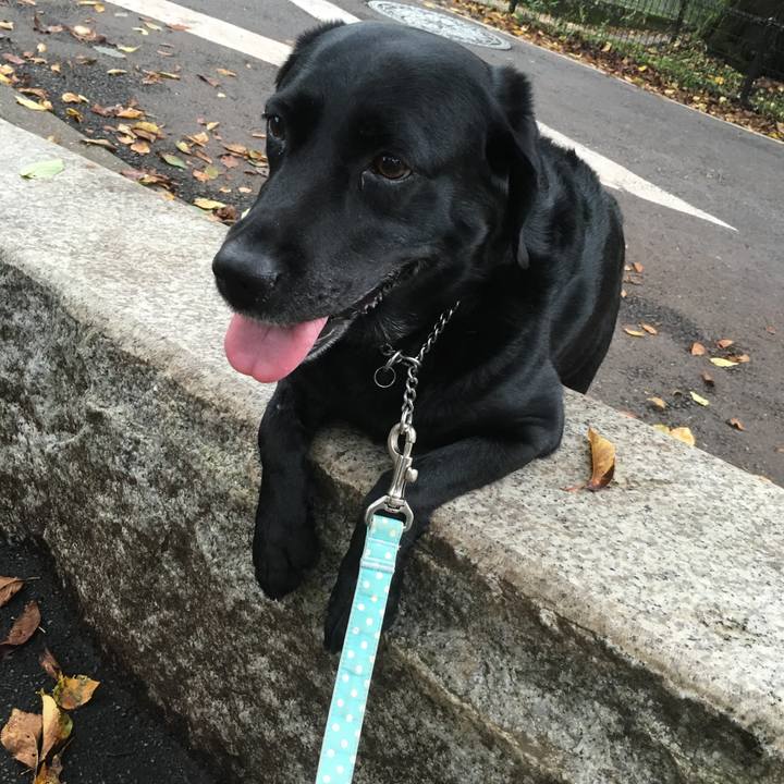 Edfa1c67 ac78 4a67 8492 ef28f9ec6348