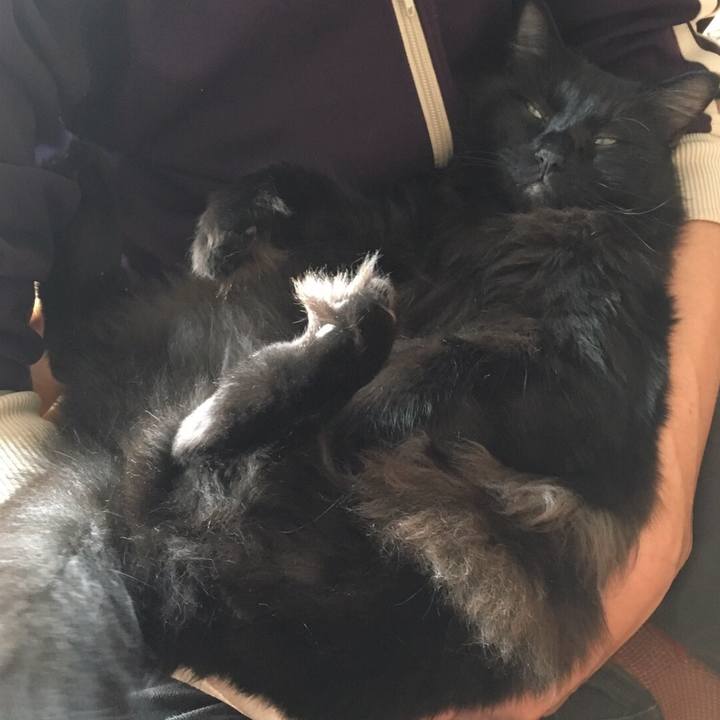 Edfa9c12 b7f6 4cc4 a0b6 e5297d51d92c