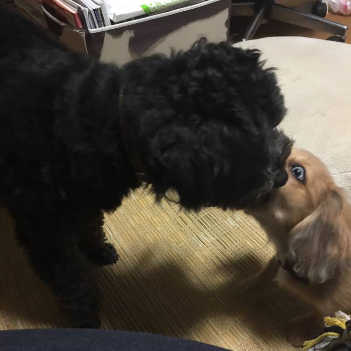 Edfb44ce f2b0 4df9 9b64 c46d07297ade