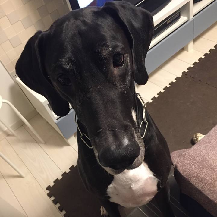 Edfb73eb 496d 413b b682 9b6e2209d3b0