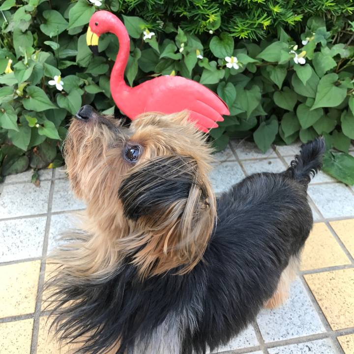 Edfc0fad 2d58 44cf 8588 c533c97f1be7