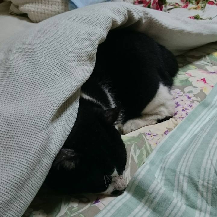 Edfd08a4 213d 4c4c ae56 bdded3ad9049