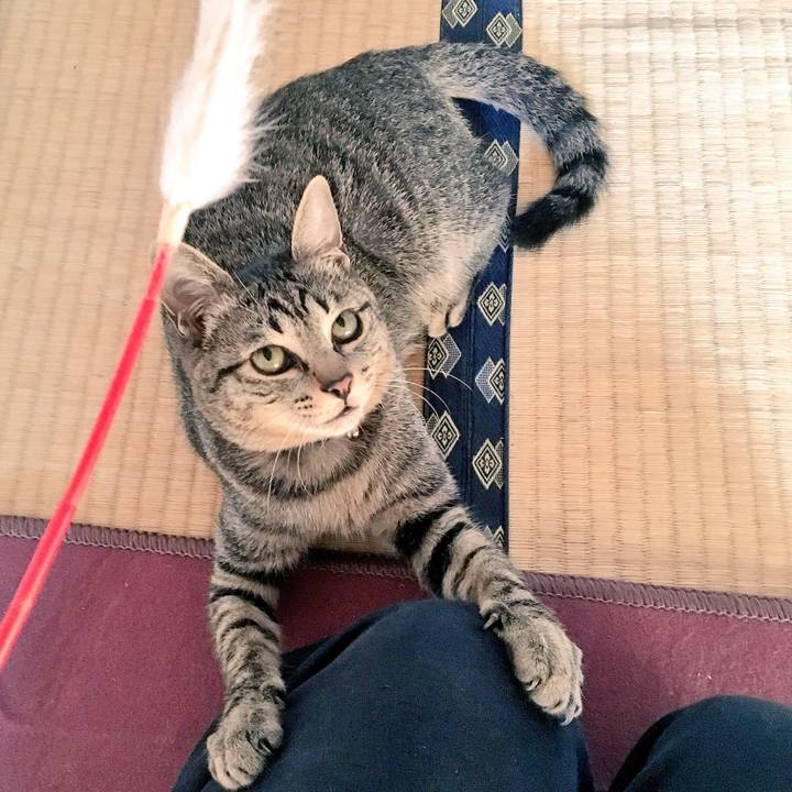 Edfd5c30 2bdc 4970 a91c 558556939c4d