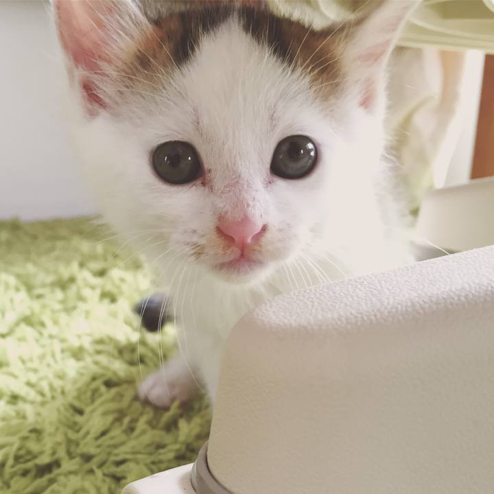 Edfd73cd b0a8 4b01 9347 50efc08aca83