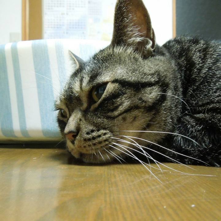 Edfdb09c 2a0e 4c64 88d2 1ab38c31726f