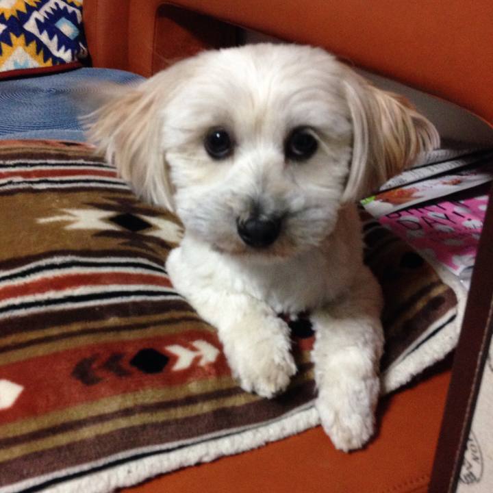 Edfdb723 85dc 419b 95ad 68aa8007f3b5