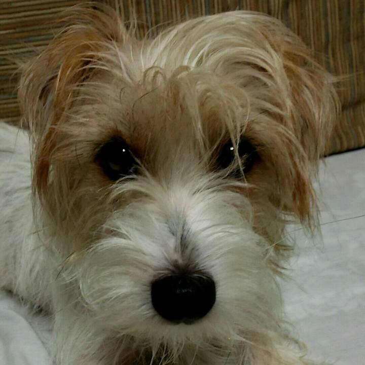 Edfde8ba 4b3d 4f91 8306 ad671d27f8ea