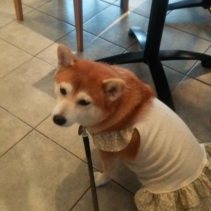 Edfea291 038c 4c47 98b1 1d80e21a165c