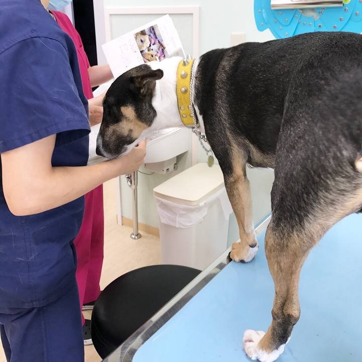 Edff8a3b 51e4 40d0 82e7 76be410caeec