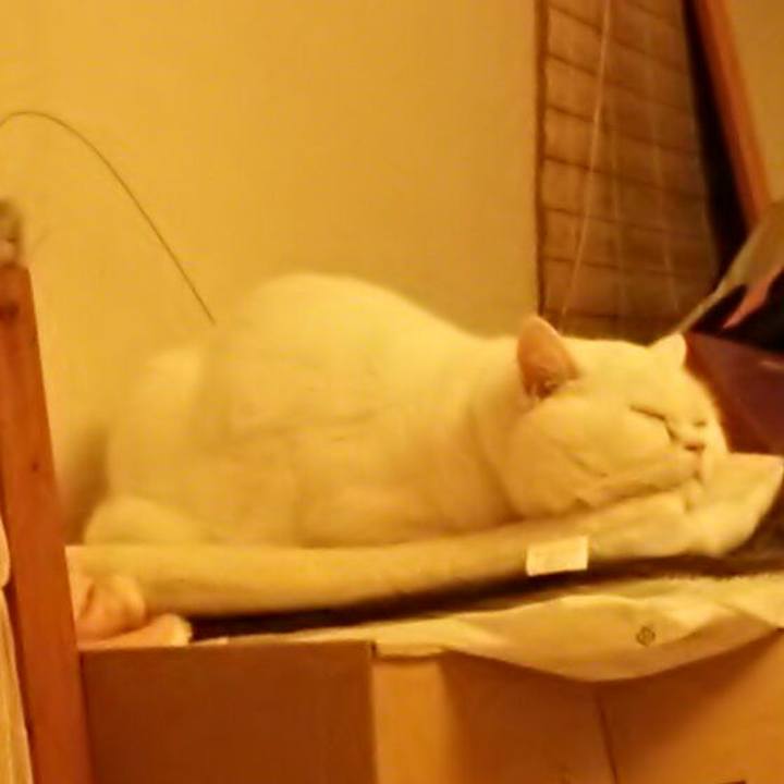 Edffd398 9f6e 4d33 ae54 e82f7878fa3e