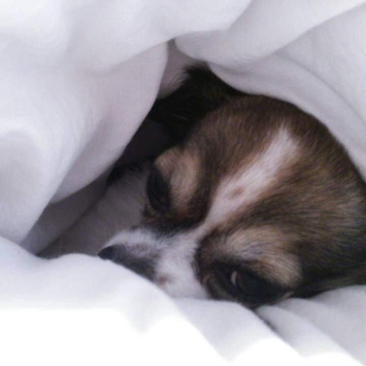 Edfff72a 3811 42b1 8eb4 c5cc4d4519fd