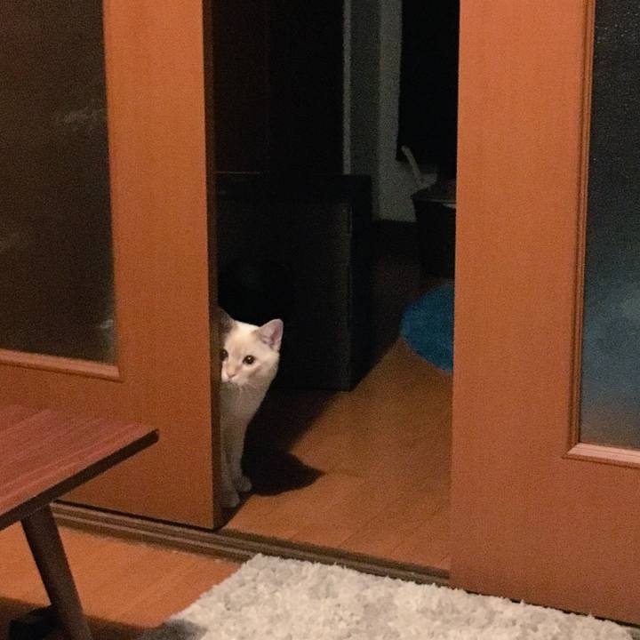 Ee000a92 17ca 4989 b0a7 bdc06538fd8a