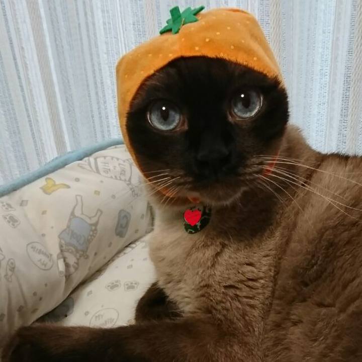 Ee003ada 3e36 4a0c b593 683738ce1f1c