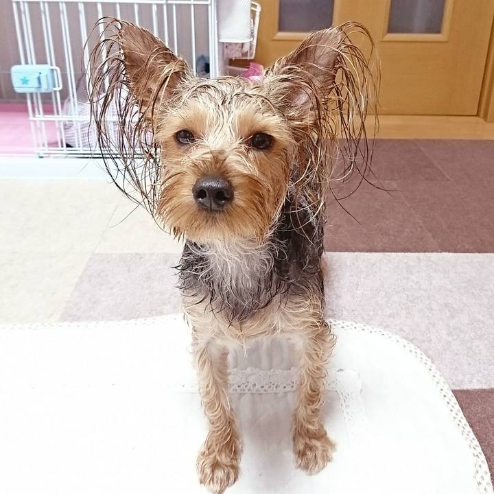 Ee006819 7000 4672 a789 085024c5baf0