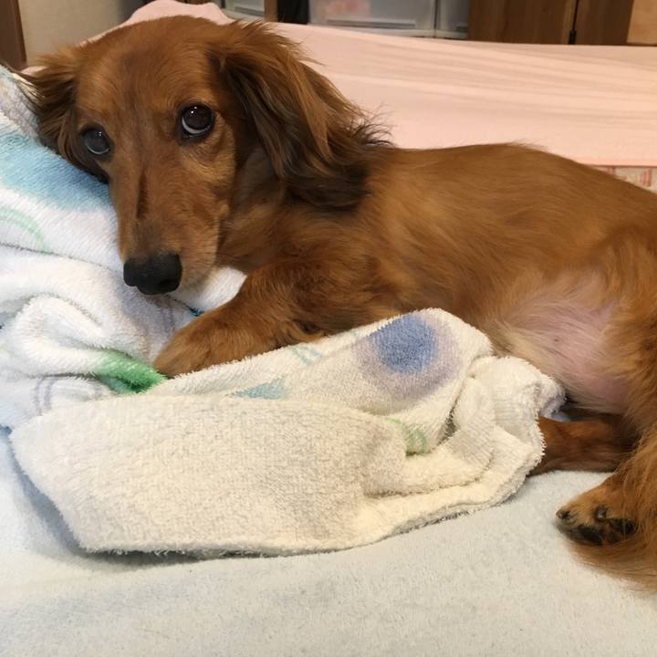 Ee01375e 0efc 45e7 a649 e0b64eb9d0e4