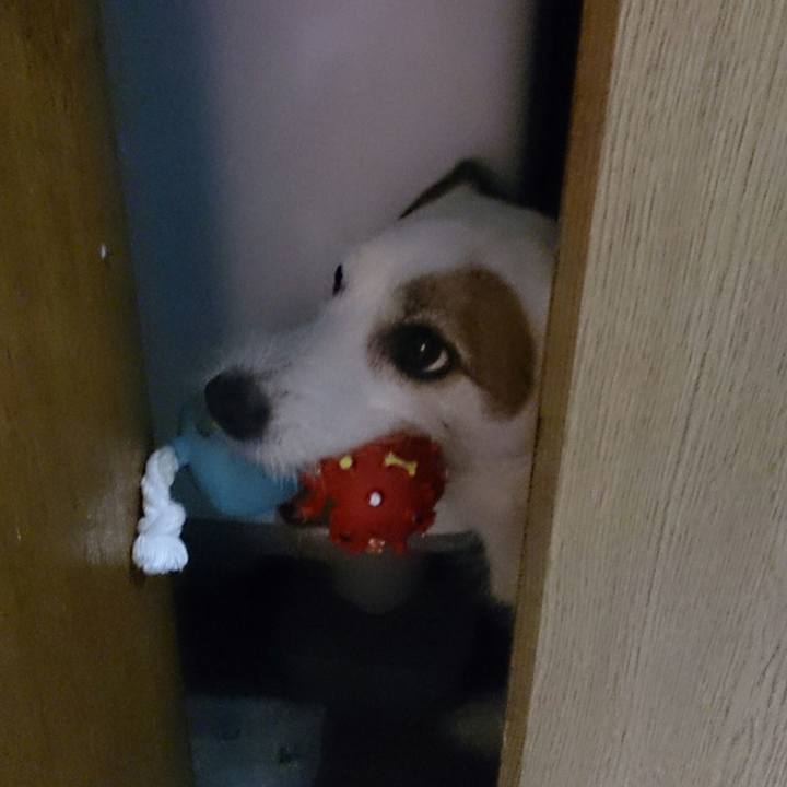 Ee01cb77 8fef 4288 b87a 485e5fe0e75a