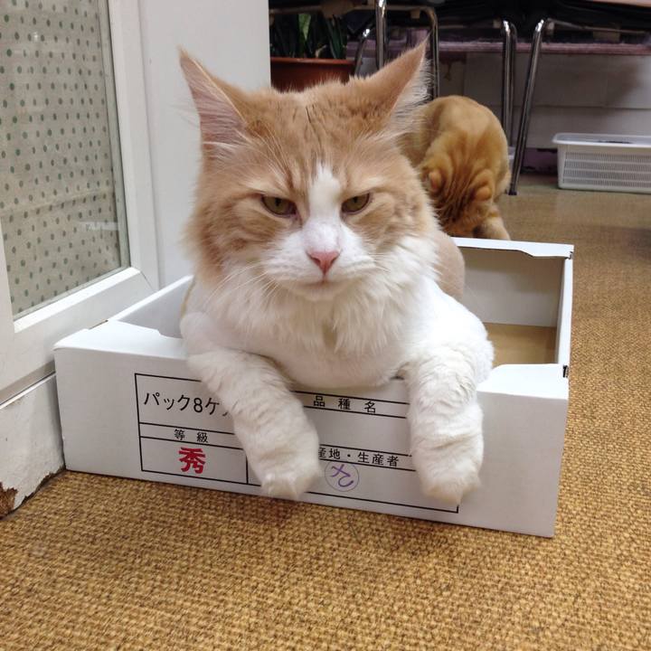 Ee01dc60 dca1 429d a75c 6482d6035a36