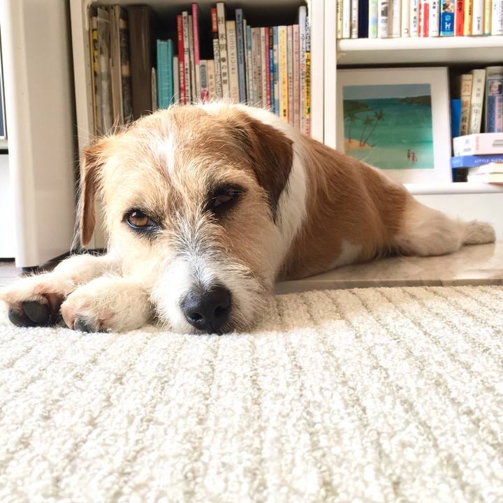 Ee01fdaa ffb4 4449 97fb c221e4f811b4