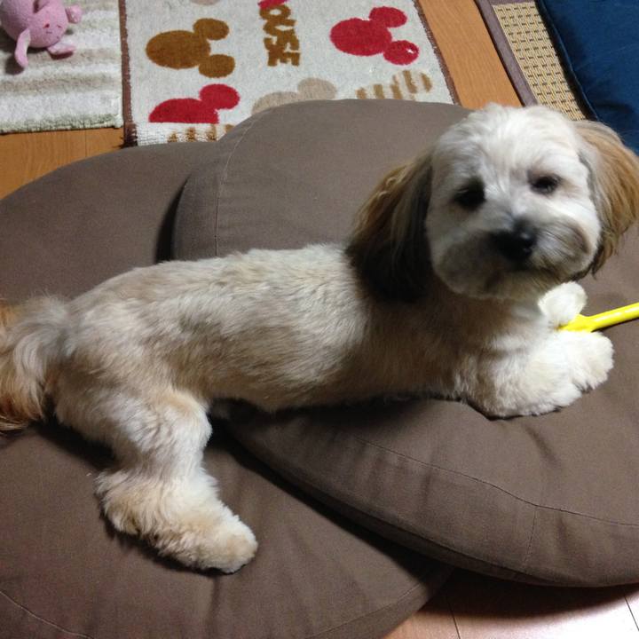 Ee01fedf 035e 42e9 9557 6bcb5d77fb27