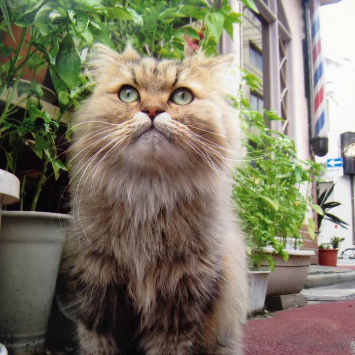 Ee022d47 94b5 4cf7 b03b 81af7f3cd255