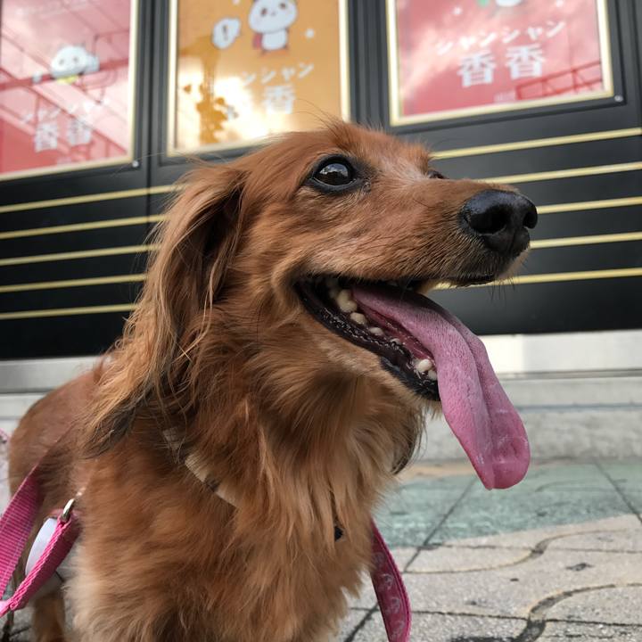 Ee02595d a3af 4493 b826 bdd8db999666