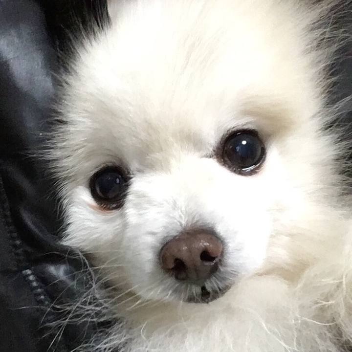 Ee029e4c ddb9 4663 a0a7 03519f371f39