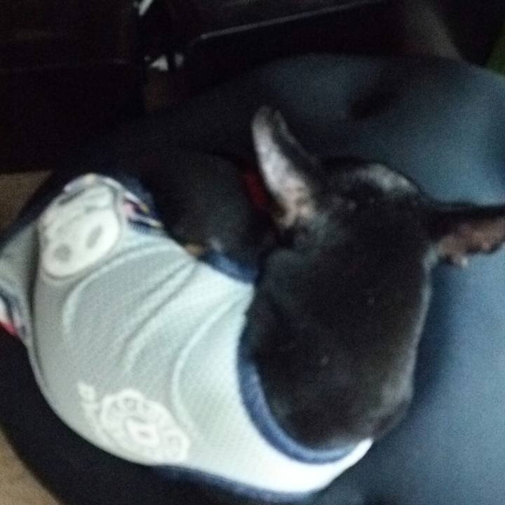 Ee02b95d 8914 4293 9149 f2adf81bb26e