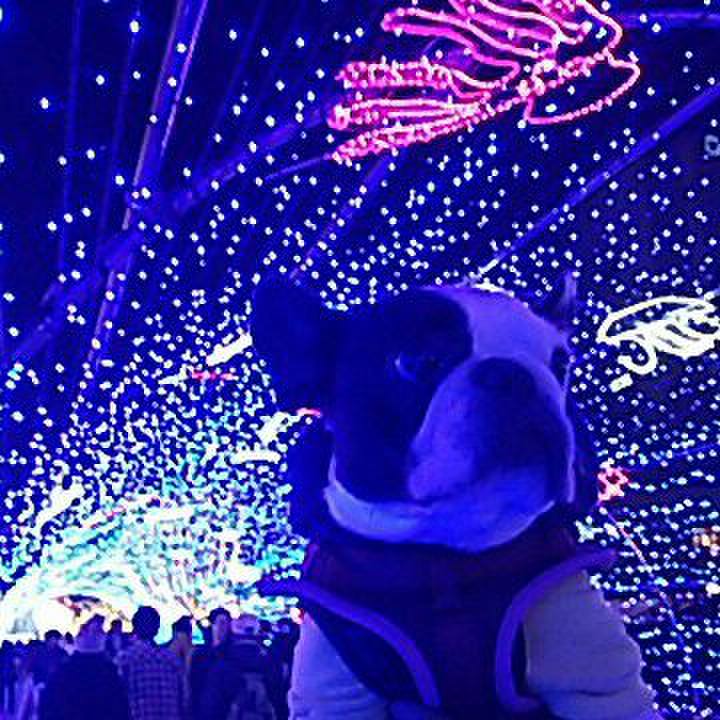 Ee031c7f ba19 4e38 8a35 bb4eb12dfbd3