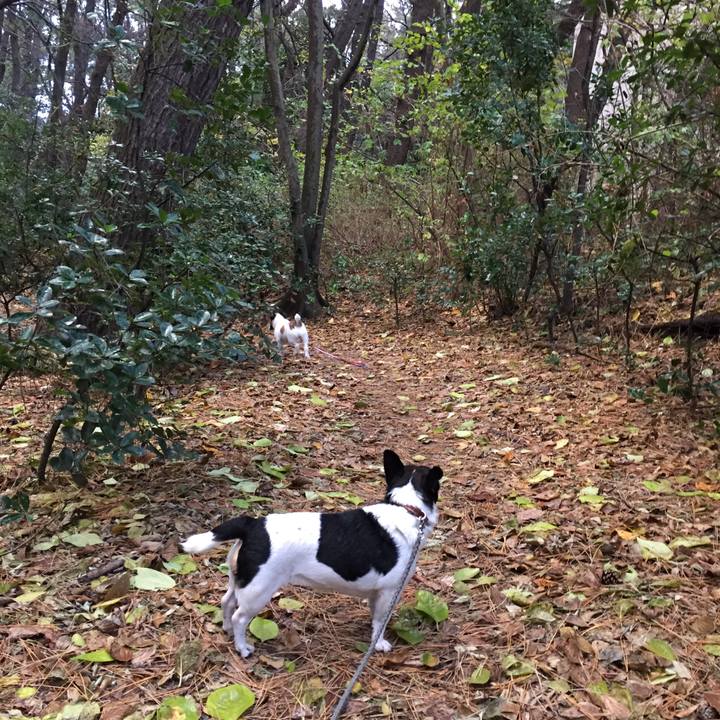 Ee037a1a a086 4ddf b200 fbfb01ad5309