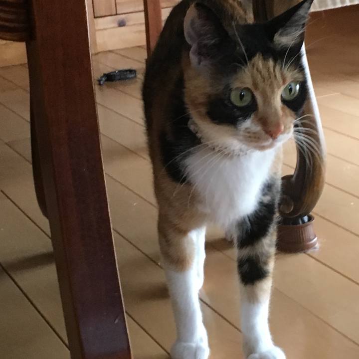 Ee03a922 b6da 416e b615 fa3116a35aab