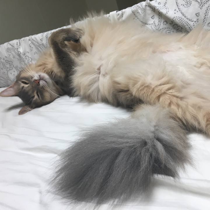 Ee048c66 170a 4026 81ac b9089c2e4077