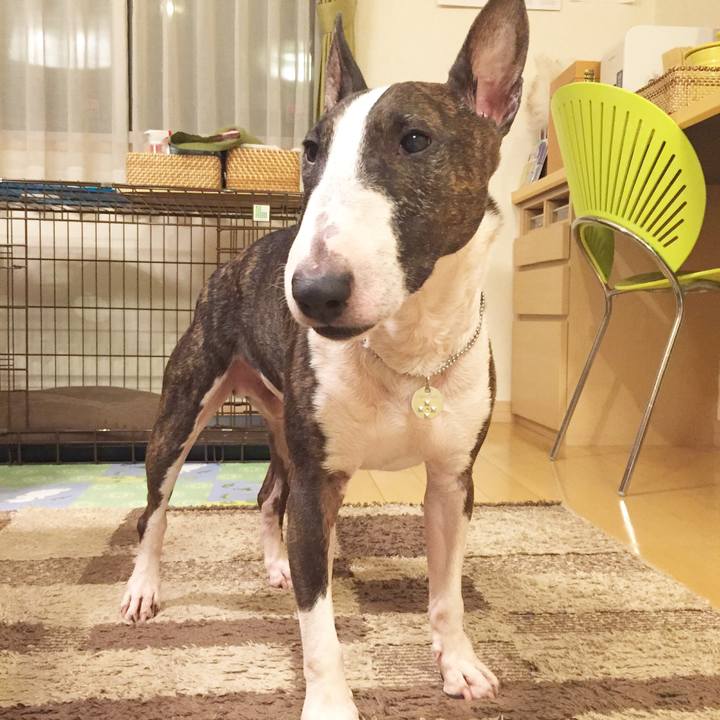 Ee05d0e5 acd4 4cd0 8e96 858dcea4d591