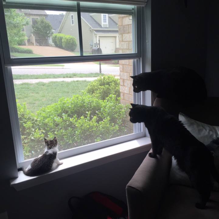 Ee060767 55a5 418c bd22 dc032330e05d