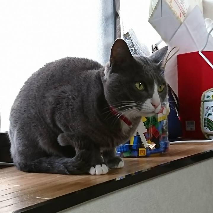 Ee06688e 30ee 4b9d a749 c28a73c0060e