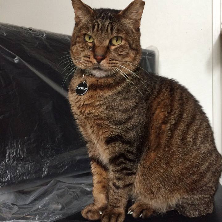 Ee0682a9 e935 4149 8f9a 4a2dd9b4e04e