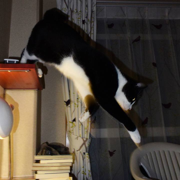 Ee068527 9aa7 49fa 8eea ded86f521ed7